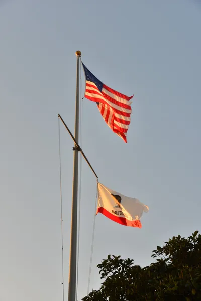 DSC_7299 (Large).JPG